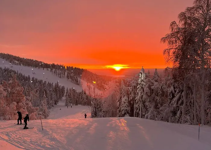 Apartman Hide In Levi